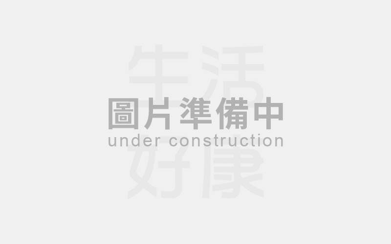 KINYO-小黑蚊充電式捕蚊拍 CM-2222